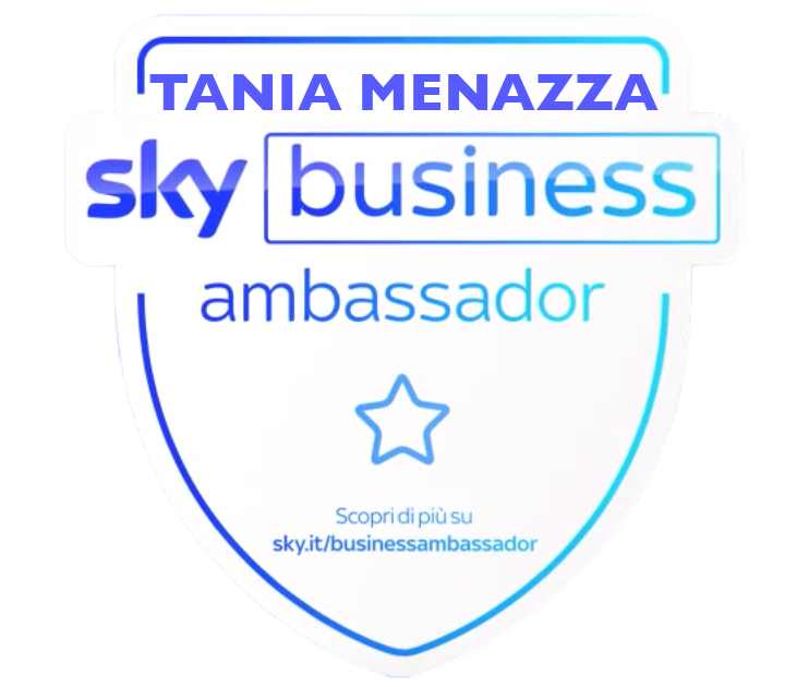 sky business ambassador